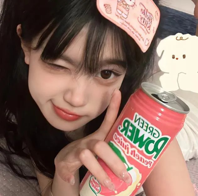 蔷薇处处开